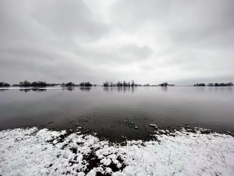 Elbe Winter