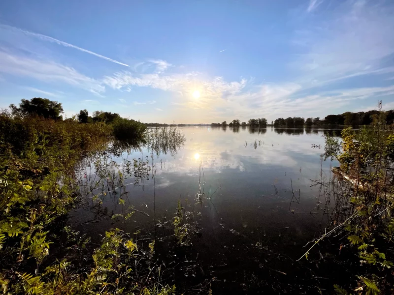 Elbe, Flooded Meadows, Sunset